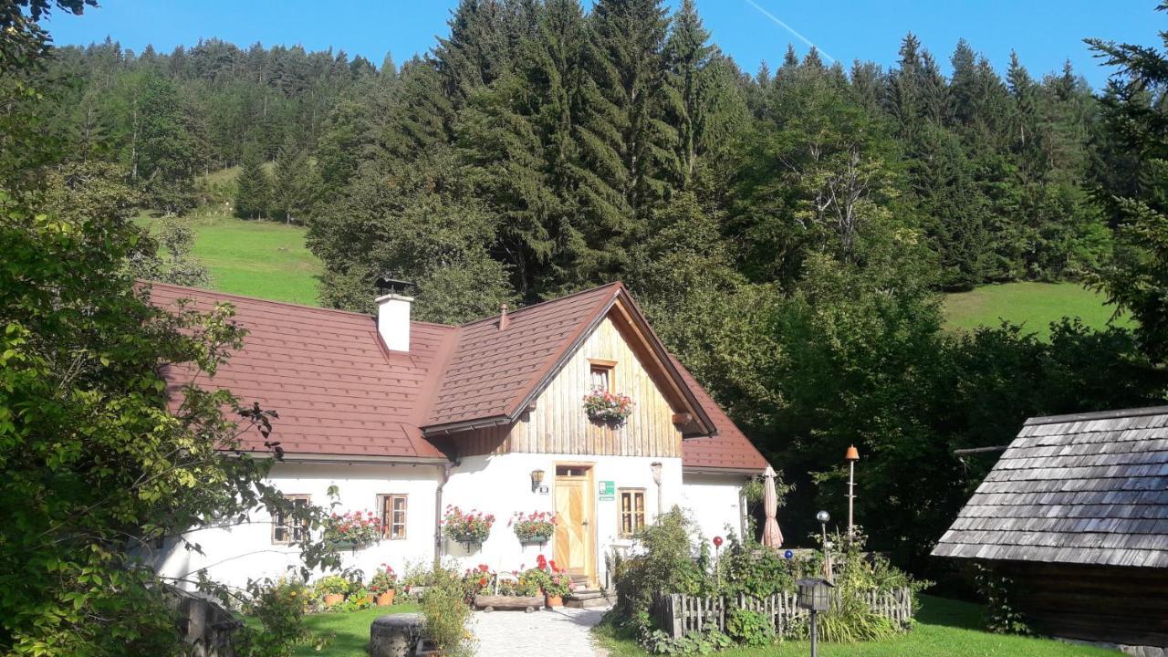 Ferienhaus Lenzau Strohmarkt Eksteriør billede